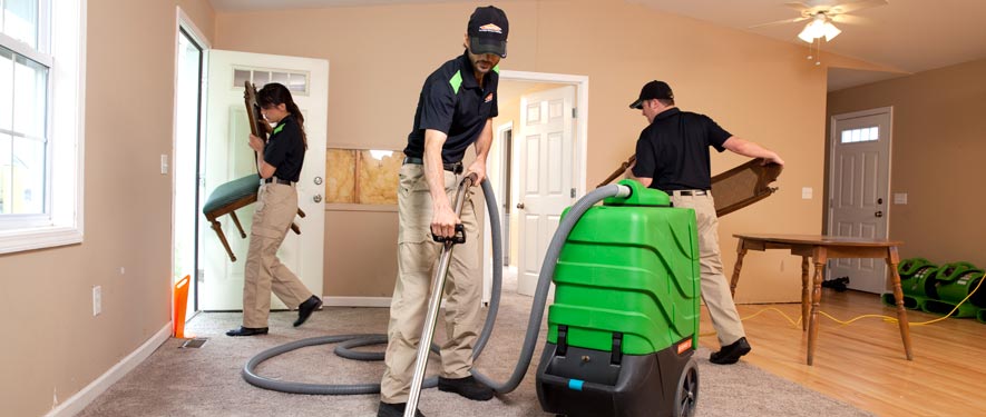 Canoga Park, CA cleaning services