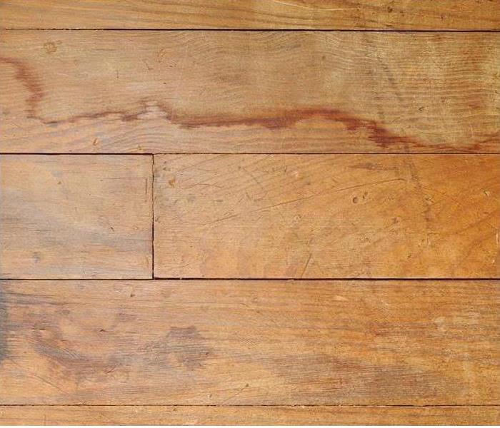 water damaged hardwood floor